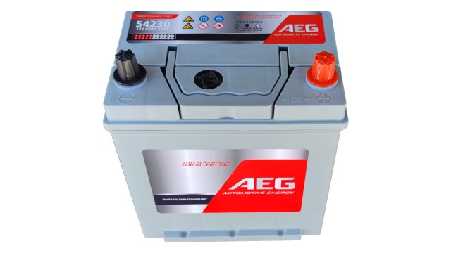 ΜΠΑΤΑΡΙΑ 54230 AEG 42AH