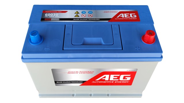 ΜΠΑΤΑΡΙΑ 60030 AEG 100ΑΗ